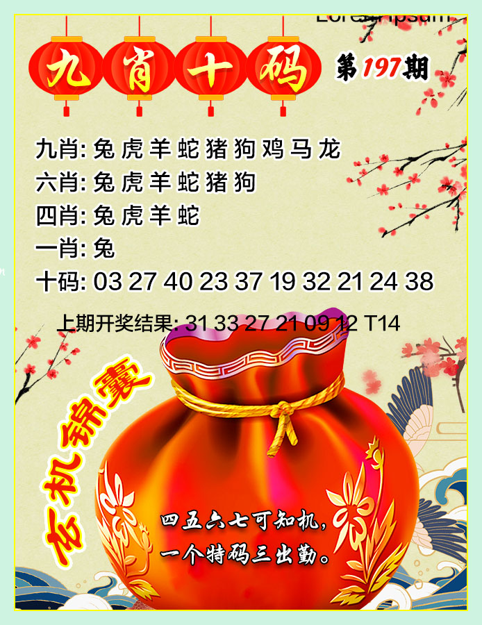 九肖十码